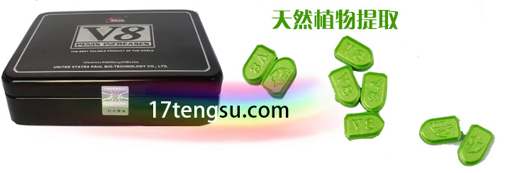 保羅V8