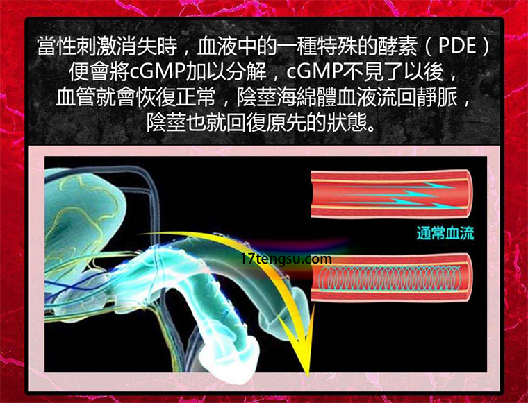 Sentrip西力士速效助勃口溶片