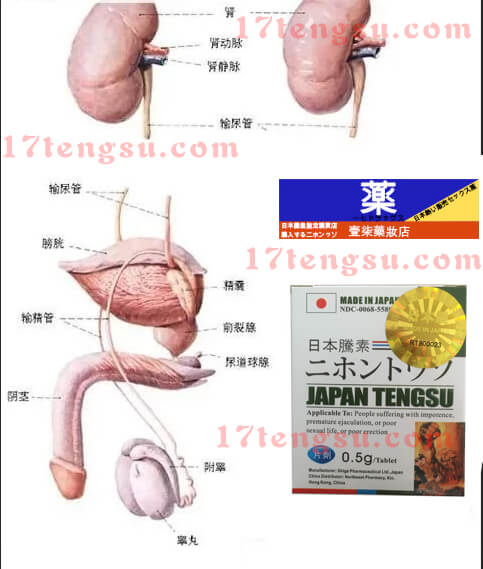日本藤素是壯陽藥還是倒陽藥？