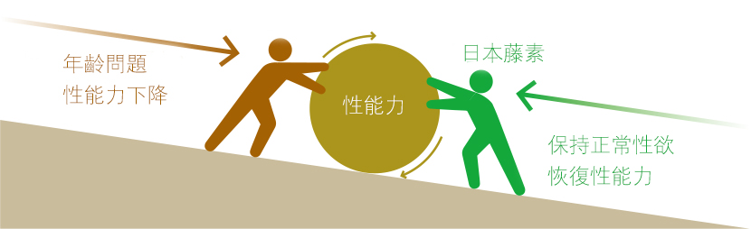 日本藤素